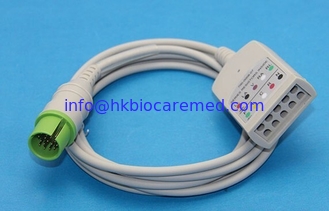 China Compatible Spacelabs 5 leads ECG trunk cable, 700-0008-06, 17 pin supplier
