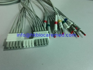 China Mortara Compatible EKG Cable 10 leadwires for Mortara WAM,banana end supplier