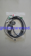 China Original Biomedical 7 lead holter cable supplier