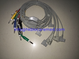 China Compatible  Philips 10 Lead  ecg leadwire for TC20/TC30 ,banana end supplier