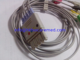 China Compatible Philips 5 lead ECG lead wire with clip end , IEC,M1971A supplier