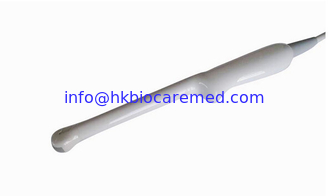 China Endocavity Linear Ultrasound Probe 6.5 MHZ for Gynecology Diagnosis supplier