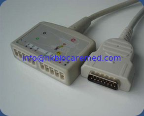 China GE-Marqutte/ Hellige 10 leads EKG trunk cable, IEC/AHA supplier