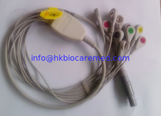 China Biomedical 10 lead Holter cable, snap end, IEC supplier