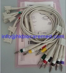 China Original Philips 10 LEAD leadwire for TC30/TC50, 989803151641,IEC supplier