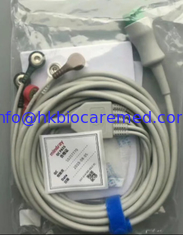 China Original Mindray one-piece 5 lead  ECG lead wire, snap , AHA ,12-pin, 3.7m, 040-000961-00, Model EA6251B supplier
